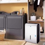 Everything to know about dehumidifier
