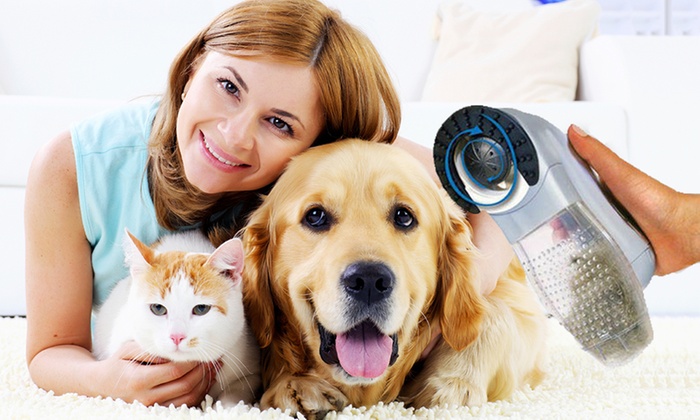 How To Find The Best Vacuum For Pet Hair