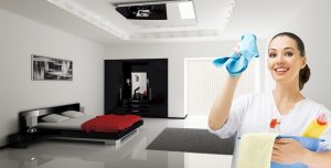 Hiring the Professional Cleaning