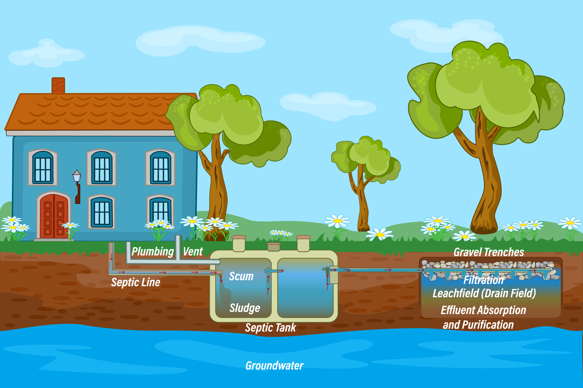 6 Things We Bet You Never Knew About Your Septic System