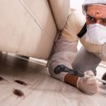 Cockroach Infestations