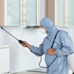 boerne pest control
