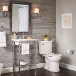 How to Choose the Best Flush Toilet for Your Bathroom
