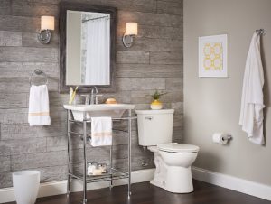 How to Choose the Best Flush Toilet for Your Bathroom