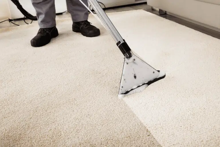 carpet cleaning Christchurch