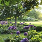scenic green landscaping in boerne