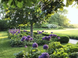 scenic green landscaping in boerne