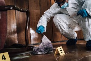 environmental remedies abatement services